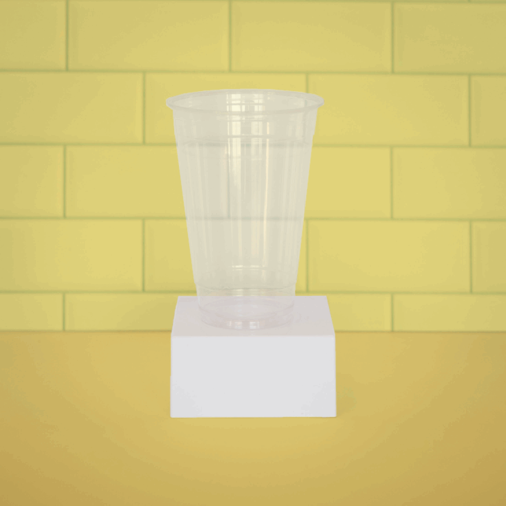 20oz PLA Plastic Cold Cup