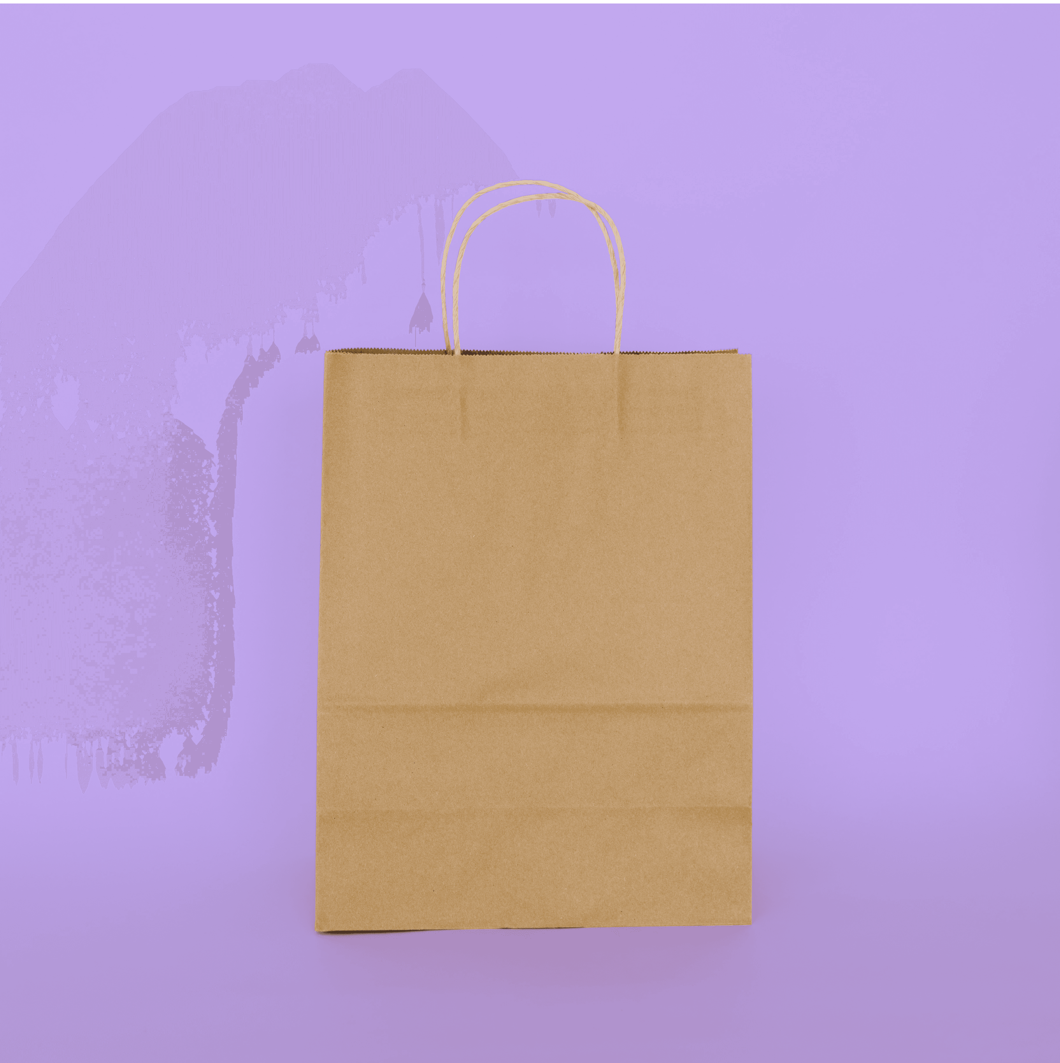 Handled Paper Tote 10" x 5" x 13"