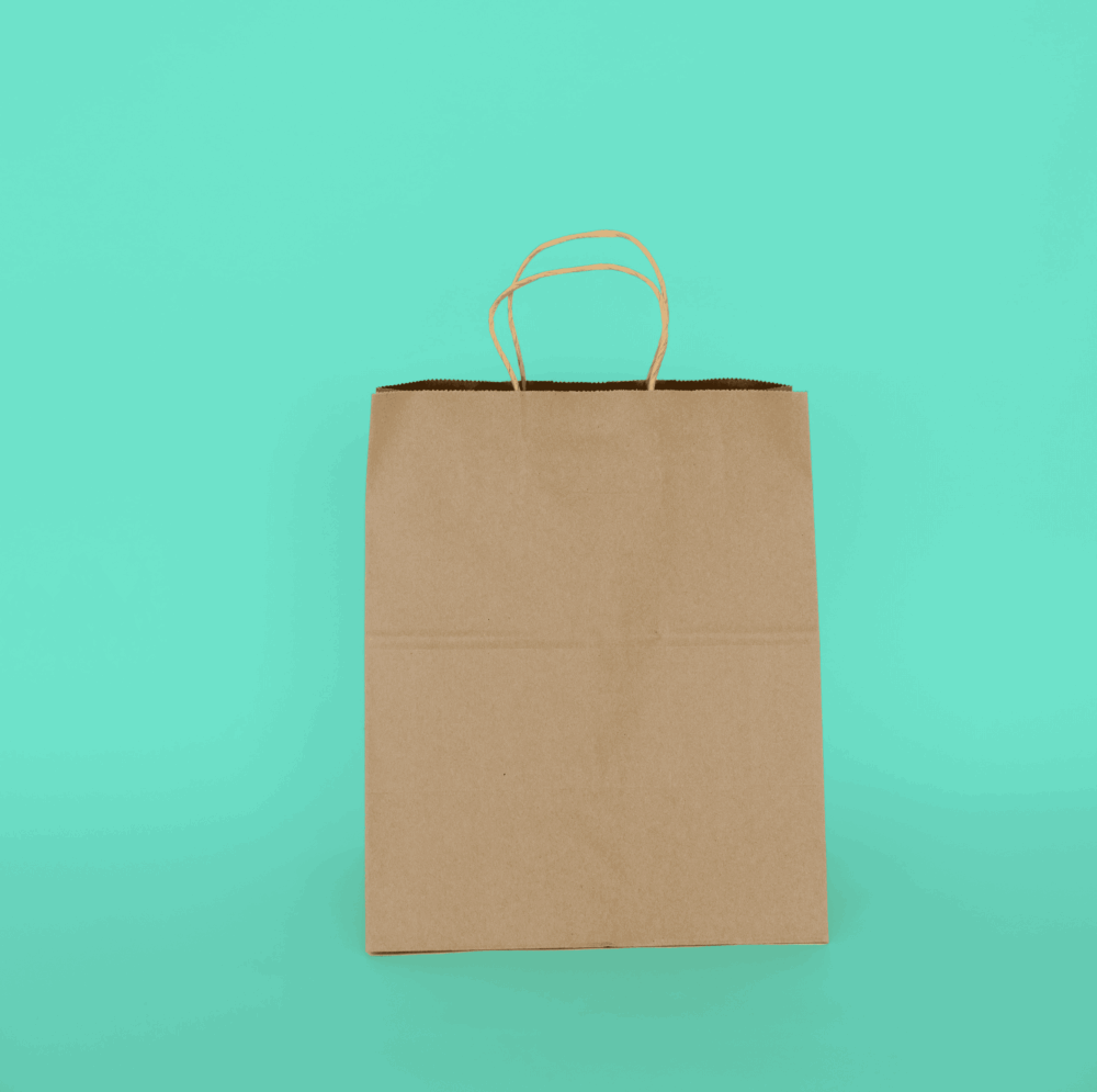 Handled Paper Tote 10" x 7" x 12"