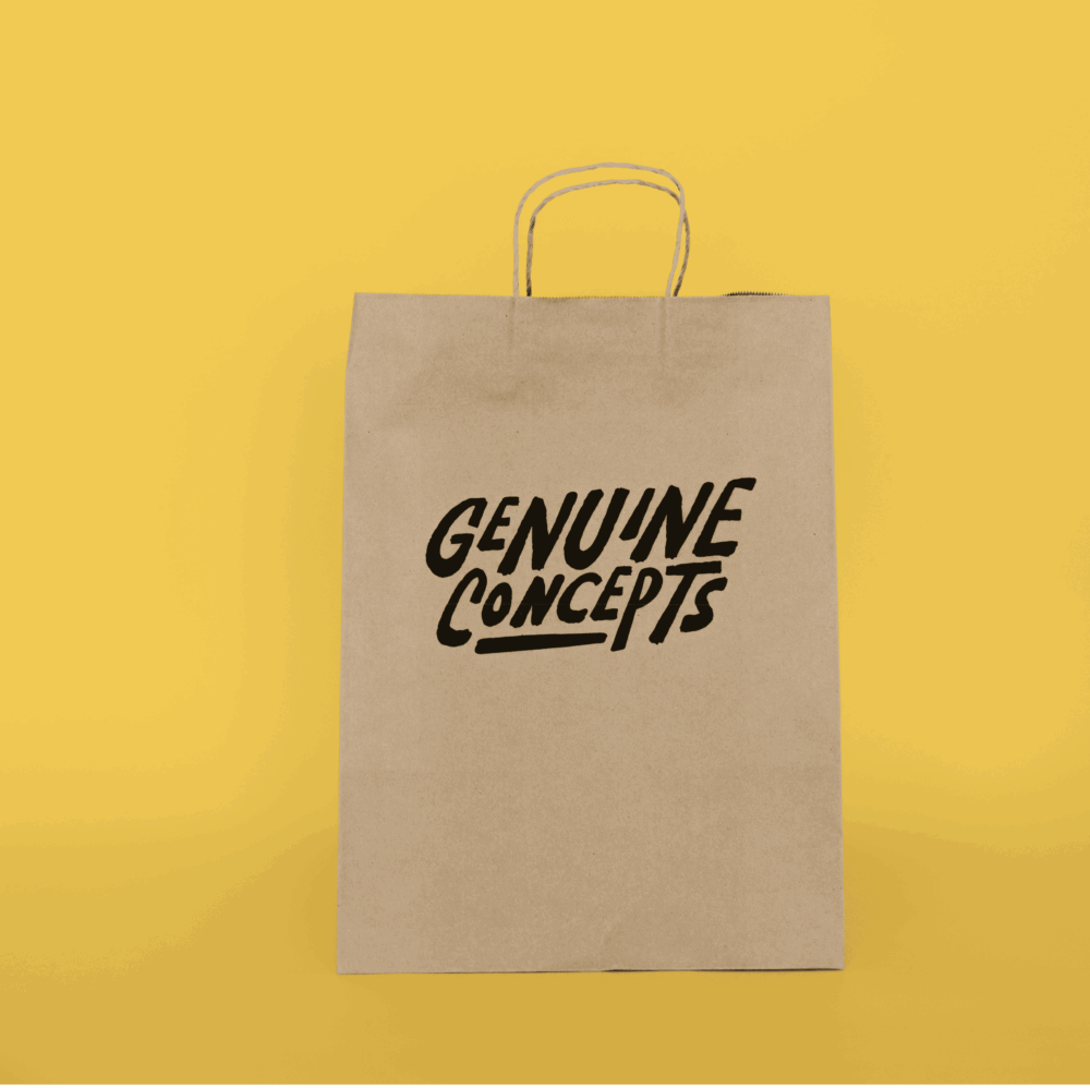 Handled Paper Tote 12" x 9" x 16"