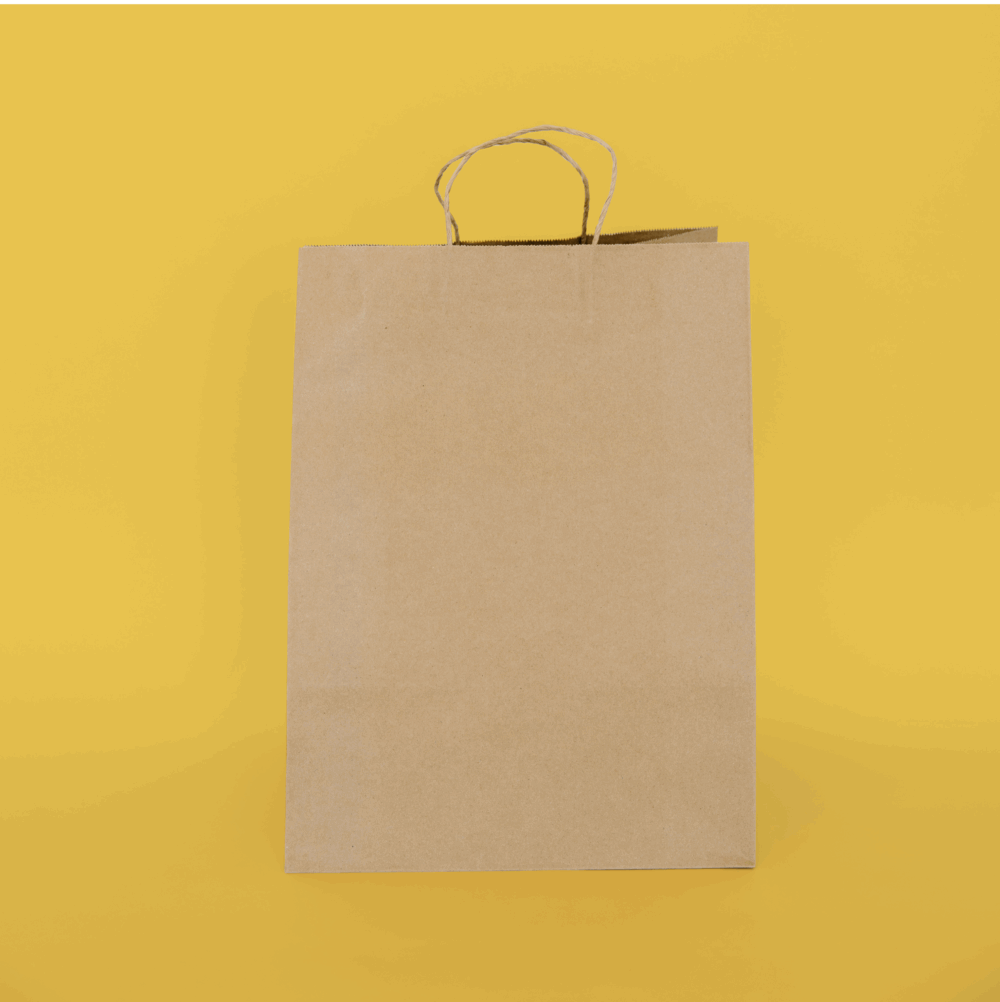 Handled Paper Tote 12" x 9" x 16"
