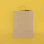 Handled Paper Tote 12" x 9" x 16"
