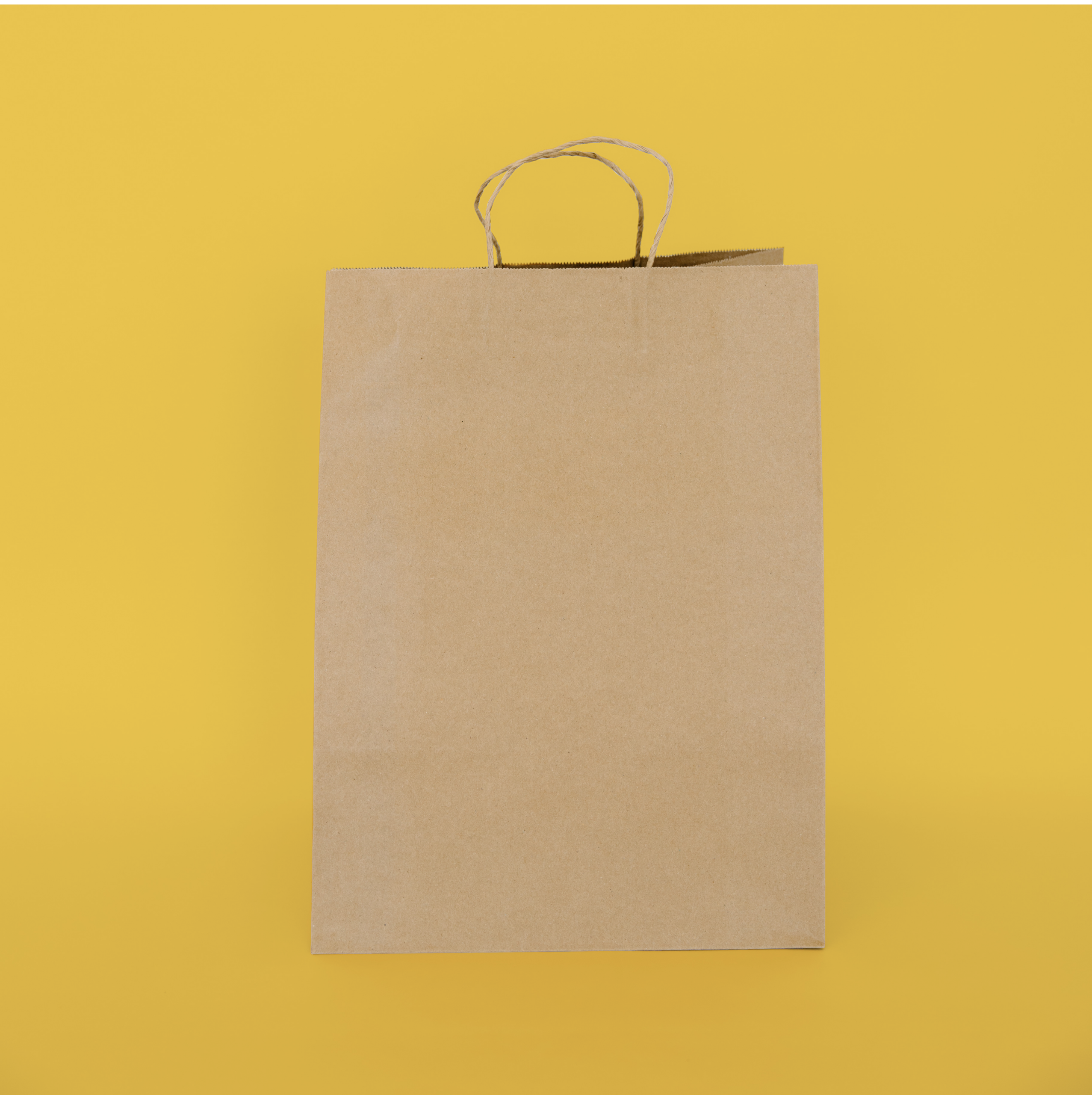 Handled Paper Tote 12" x 9" x 16"