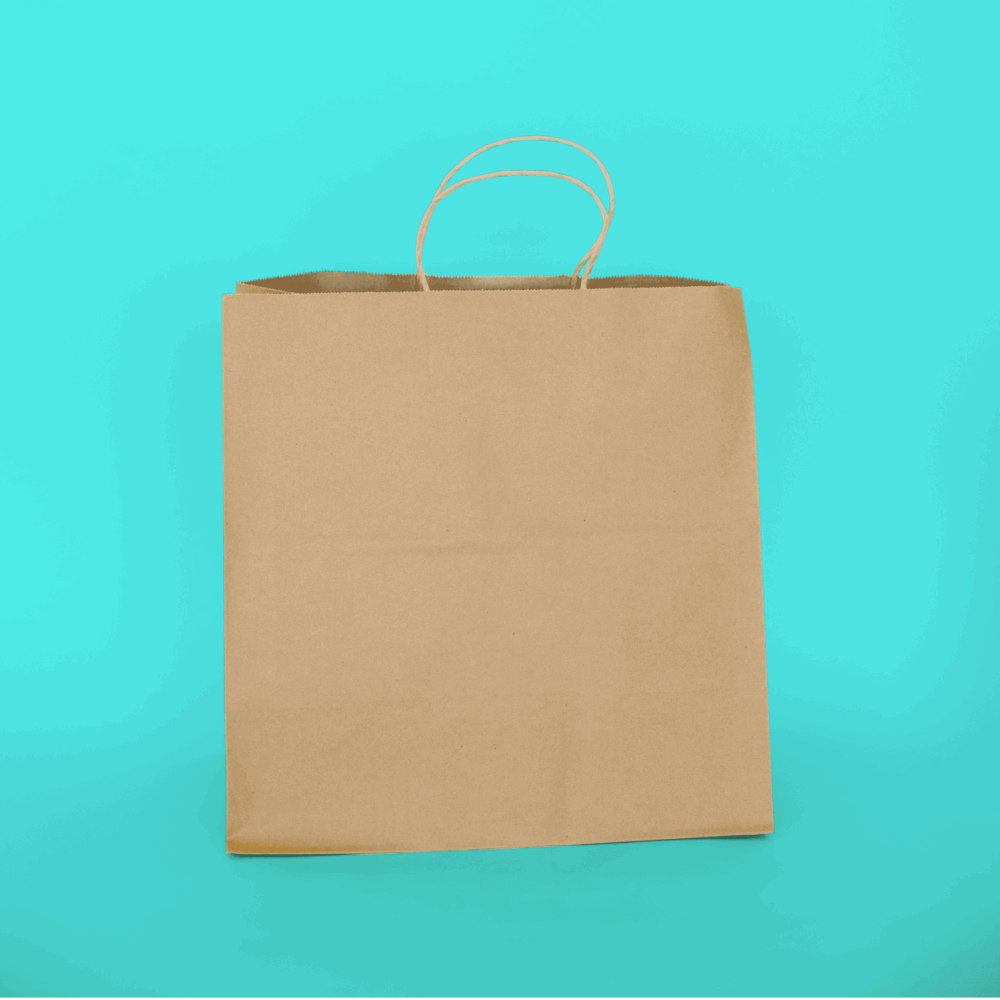 Handled Paper Tote 13" x 7" x 13"