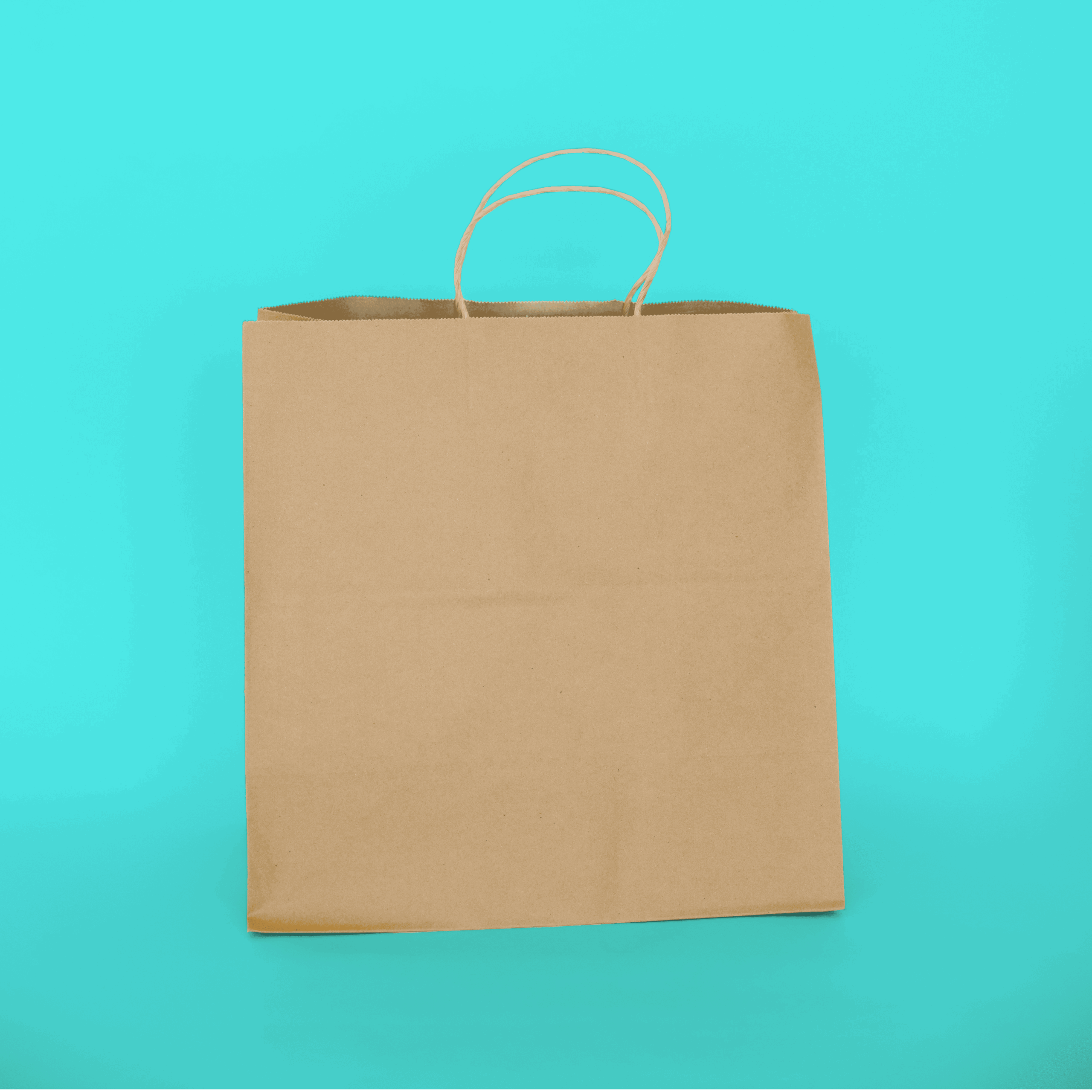 Handled Paper Tote 13" x 7" x 13"
