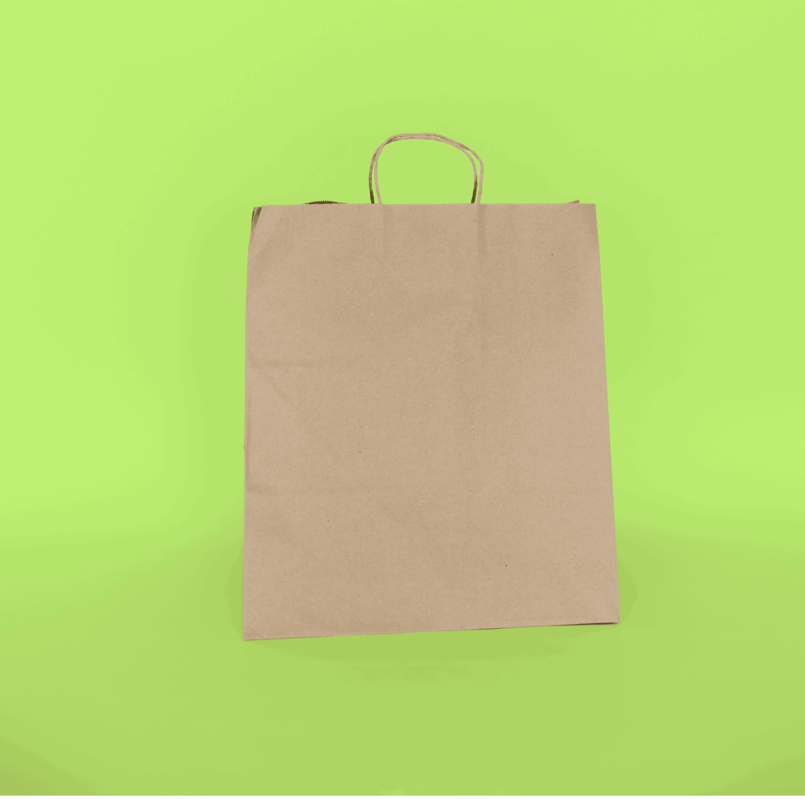 Handled Paper Tote 14" x 10" x 16"