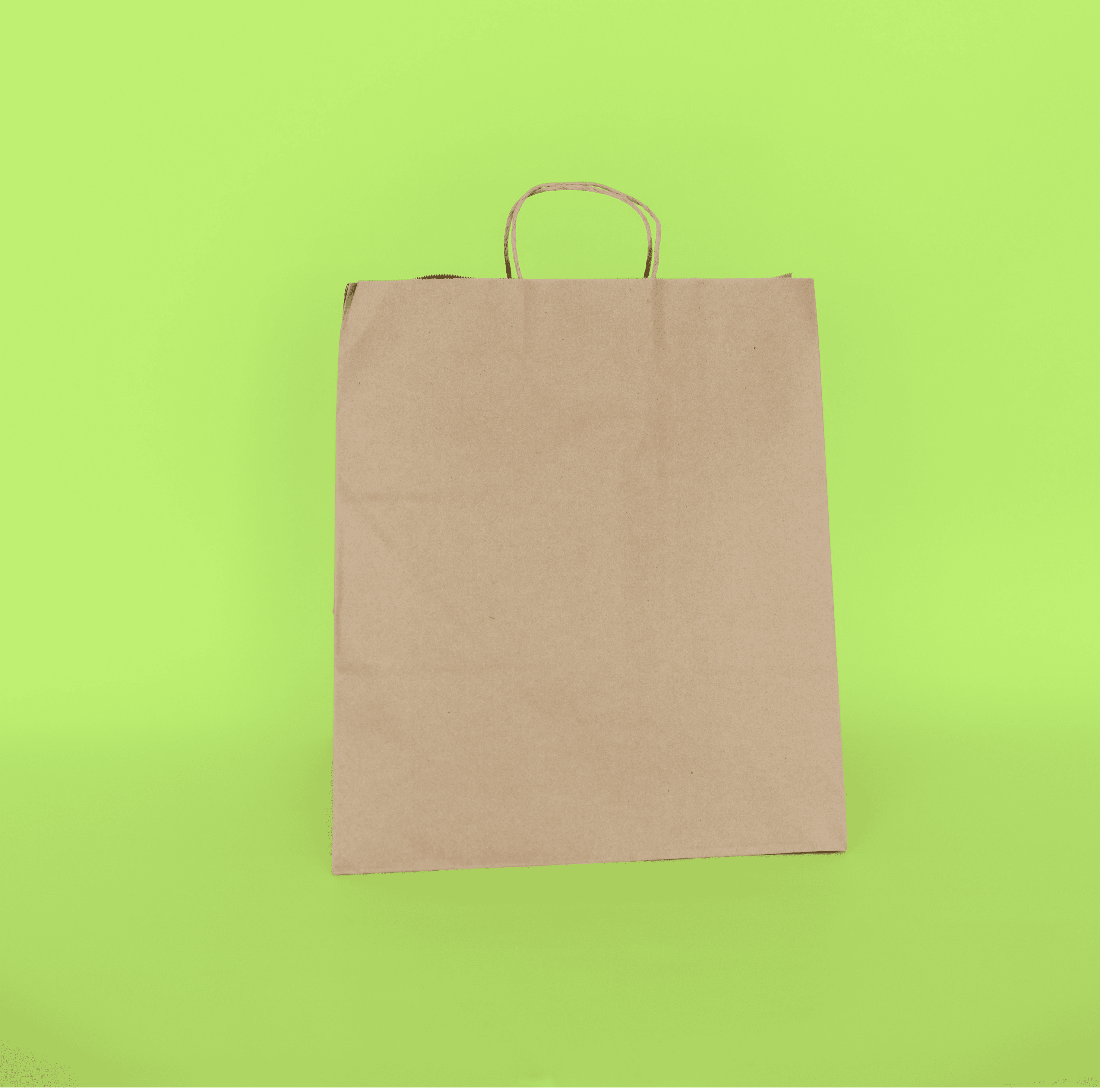 Handled Paper Tote 14" x 10" x 16"