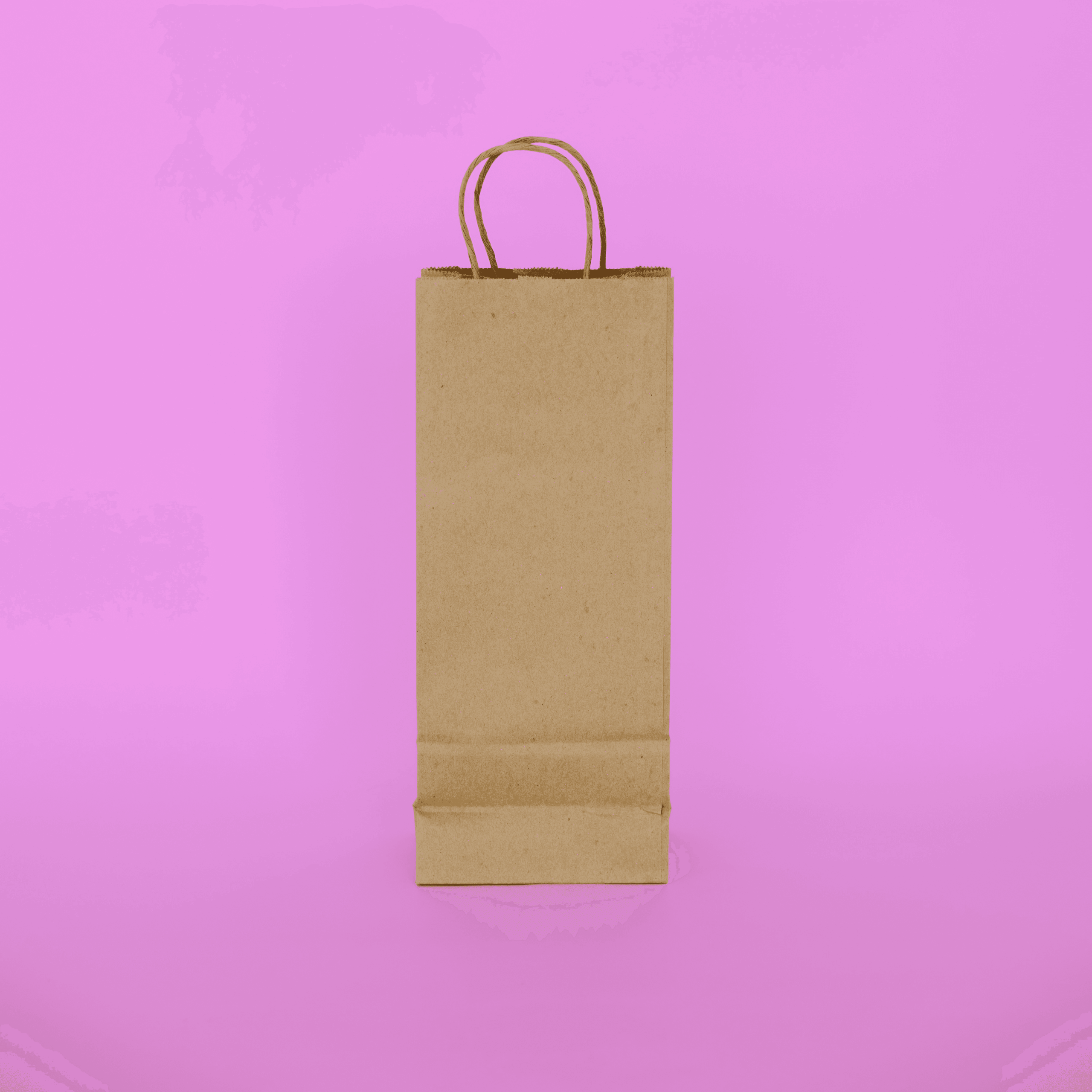 Handled Paper Tote 5" x 3" x 13"