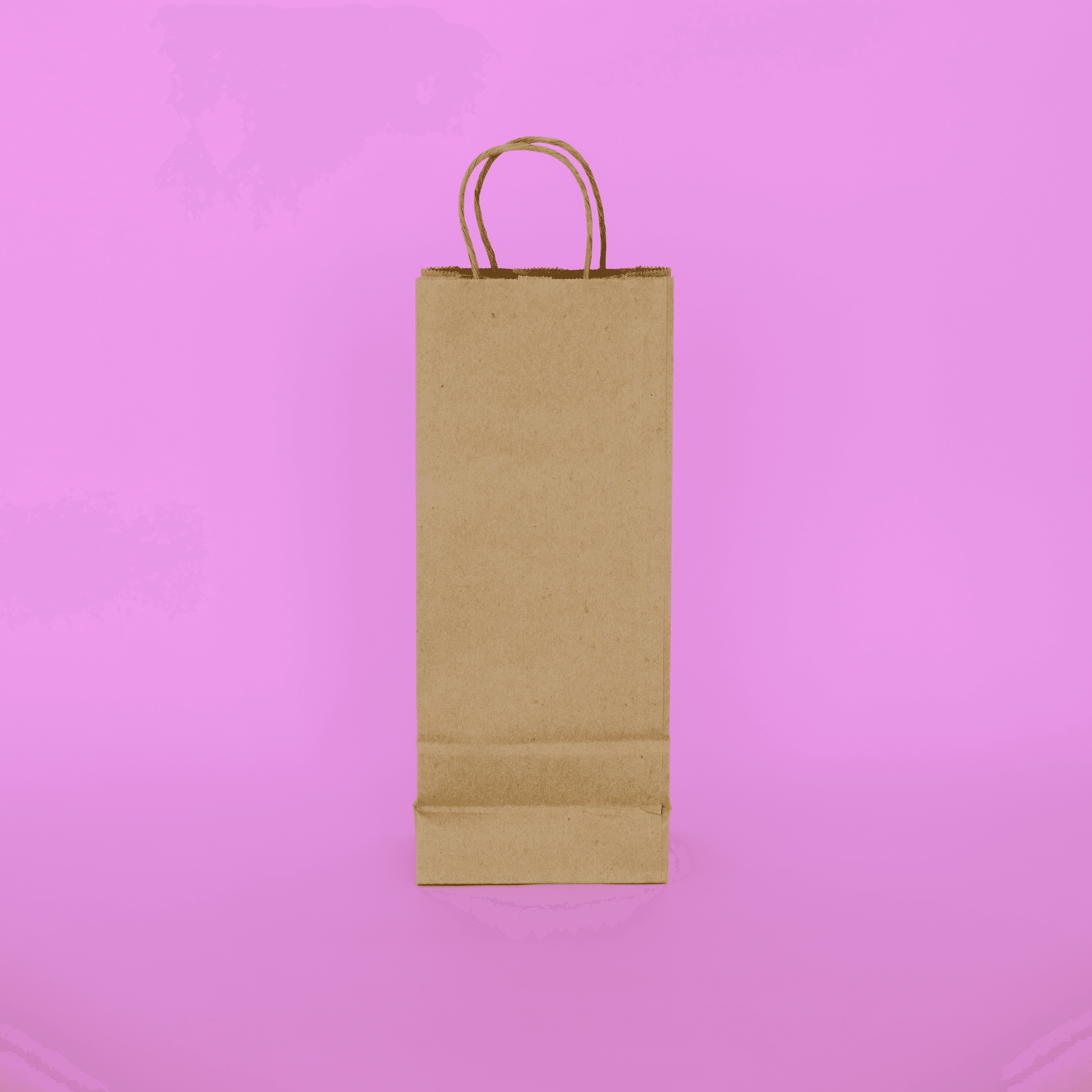 Handled Paper Tote 5" x 3" x 13"