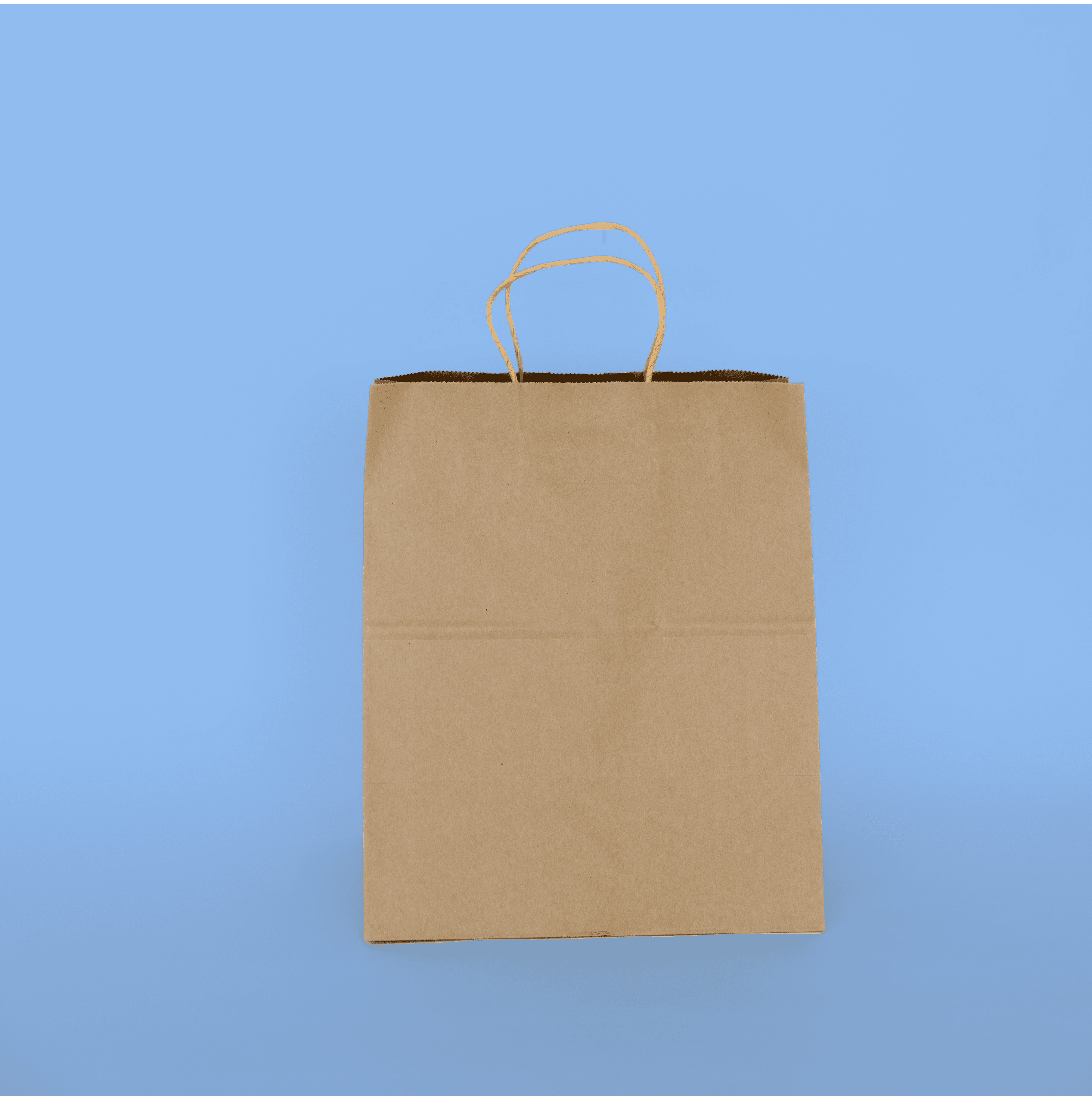 Handled Paper Tote 8" x 4" x 10"