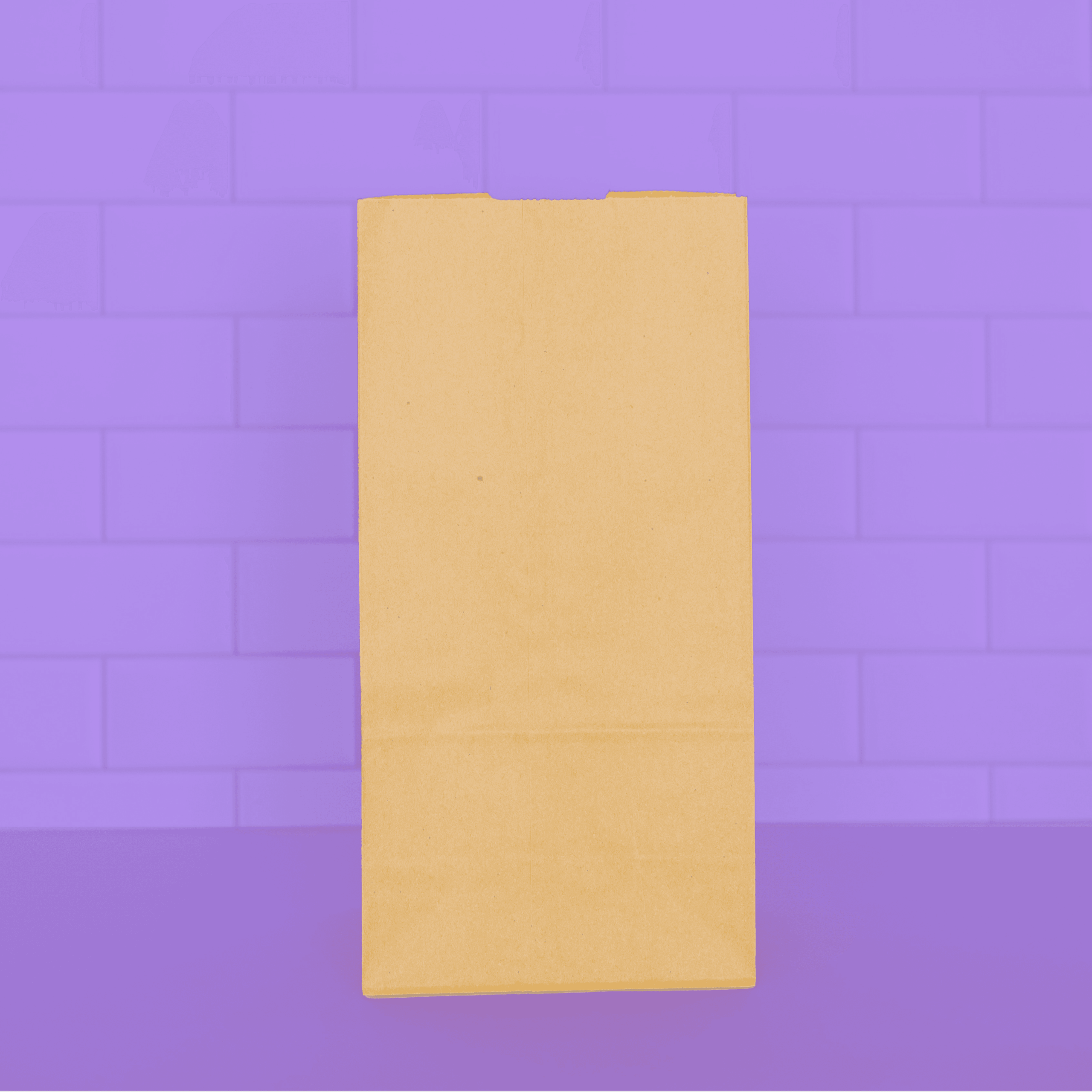 Self-Open Bag 8#